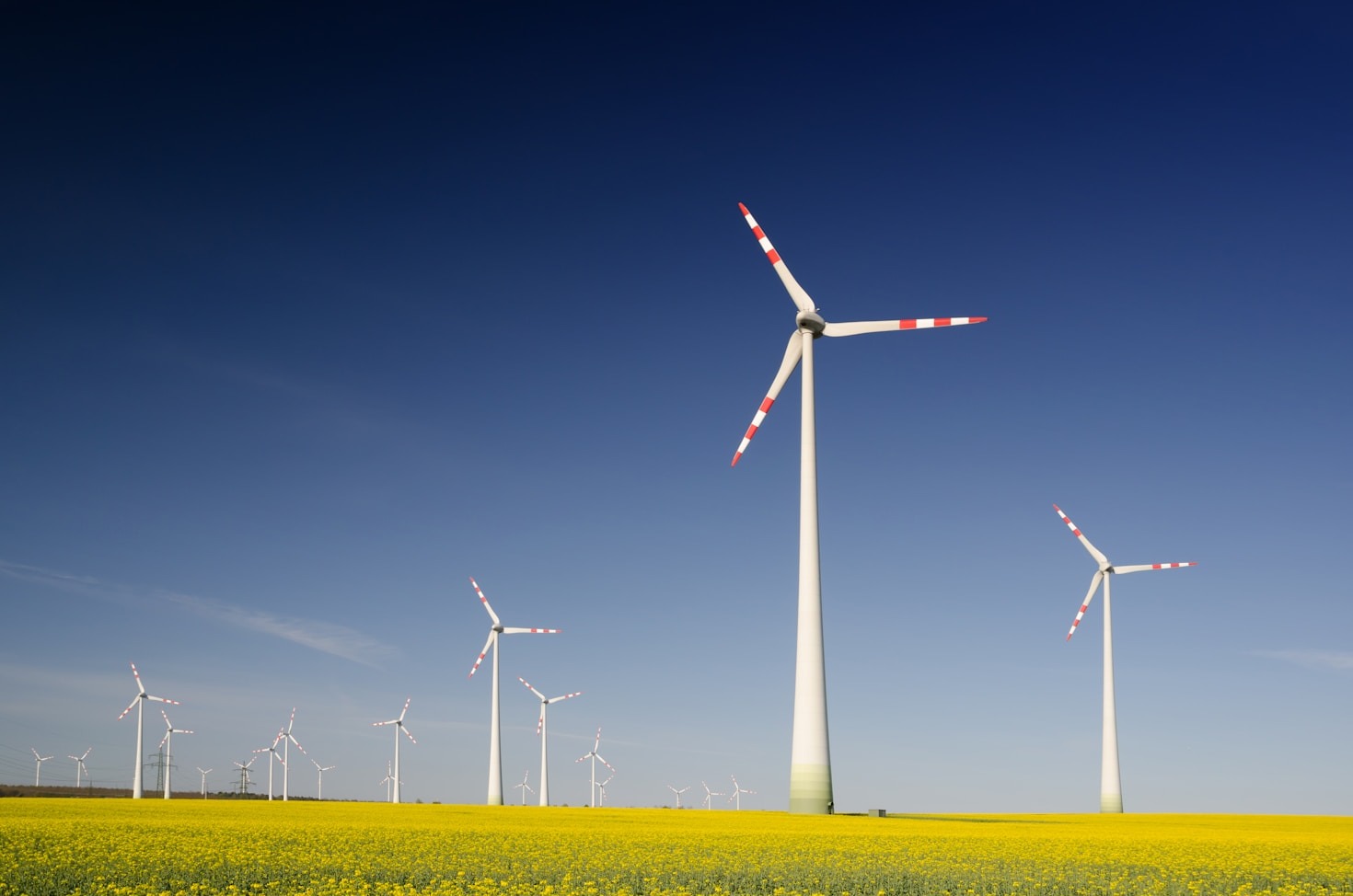 Atletas e Sustentabilidade: Histórias Inspiradoras